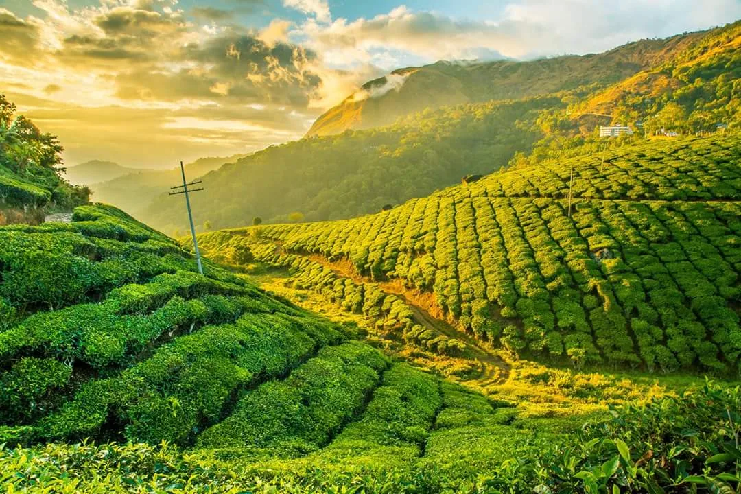 Kerala Ultimate Scenic Holiday – 9 Nights / 10 Days